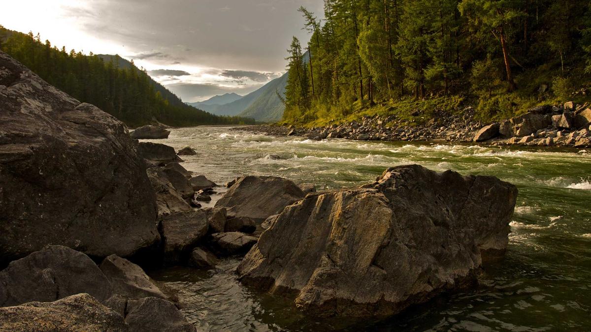 Digitale Gewalt Symbolbild zum Thema Digitale Gewalt