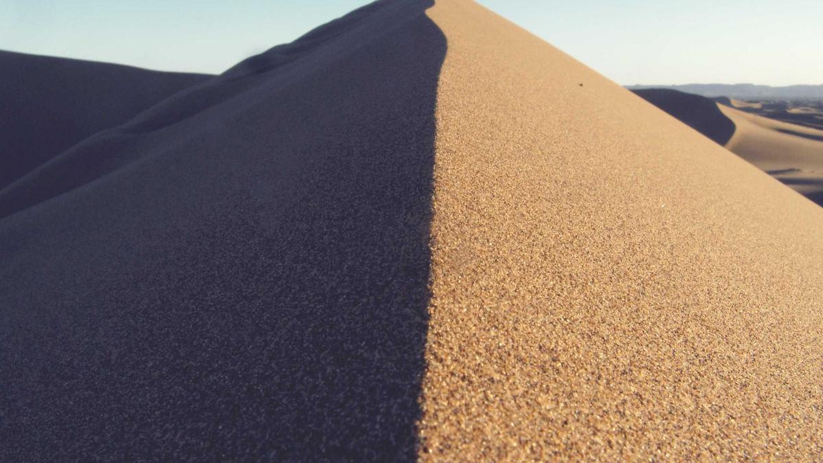 Symbolbild zum Thema Doris Schretzmayer