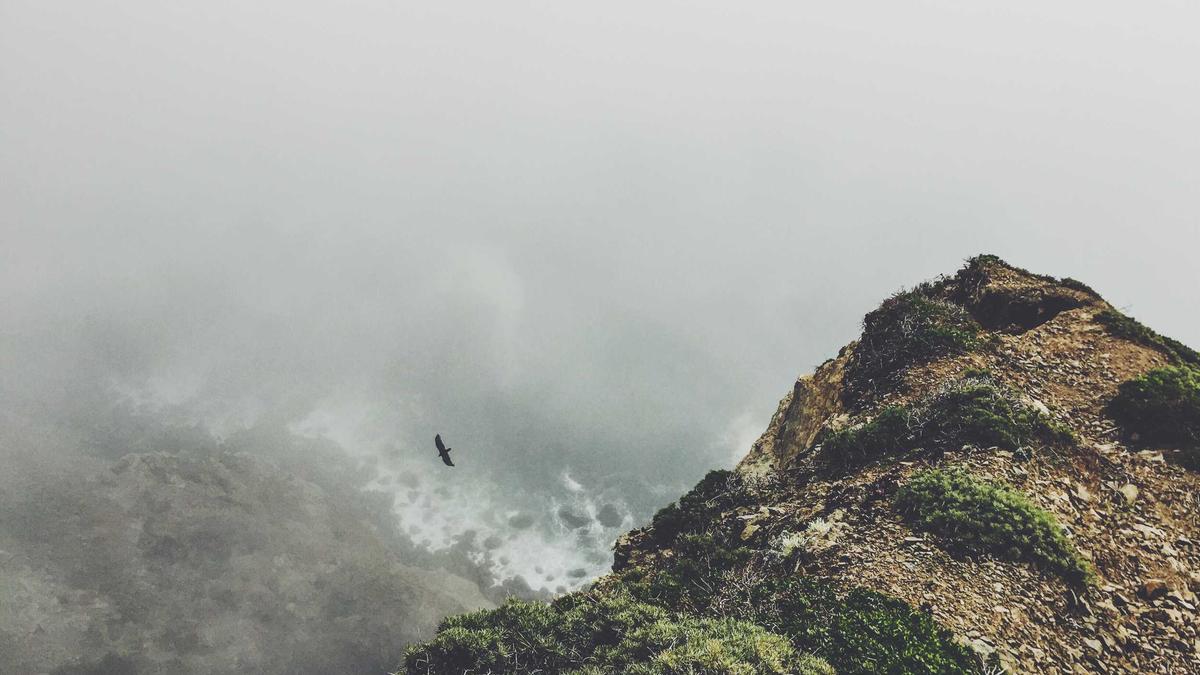 Dortmund HSV Symbolbild zum Thema Dortmund HSV