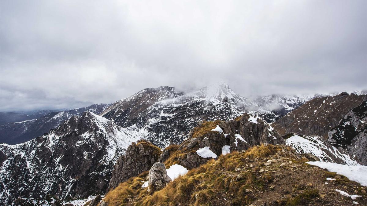 Symbolbild zum Thema Down Syndrom Alzheimer