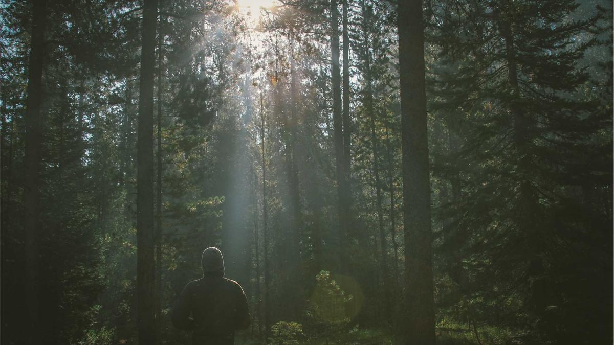 Detailansicht: Down Syndrom Alzheimer