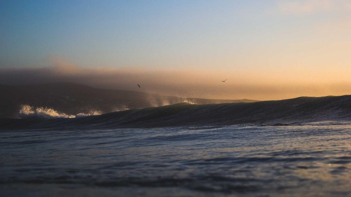 Illustration zu Eichenprozessionsspinner Bekämpfung