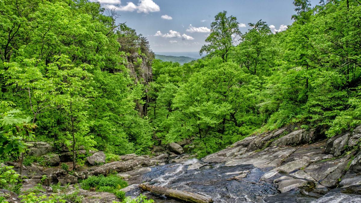 Detailansicht: Essensreste Toilette