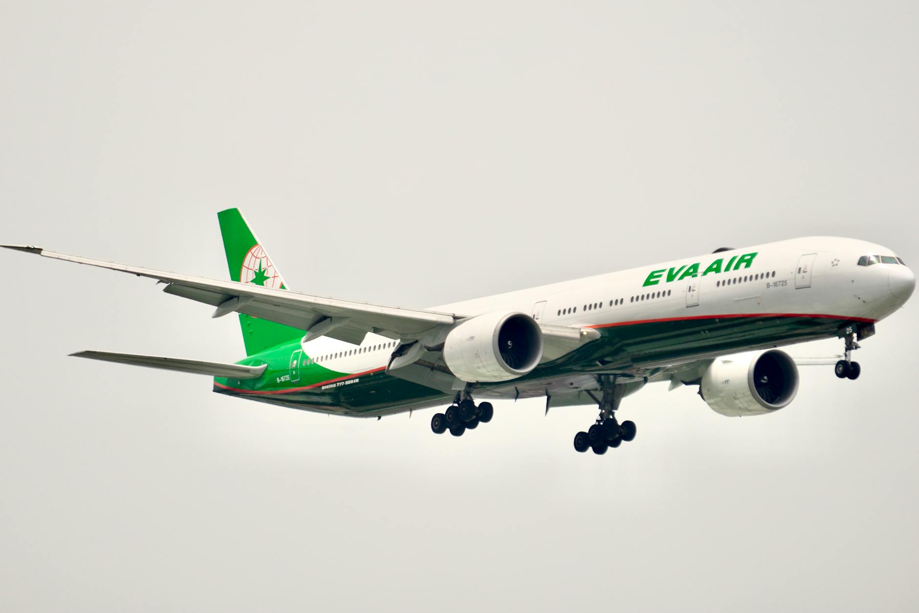 Illustration zu Eva Mattes