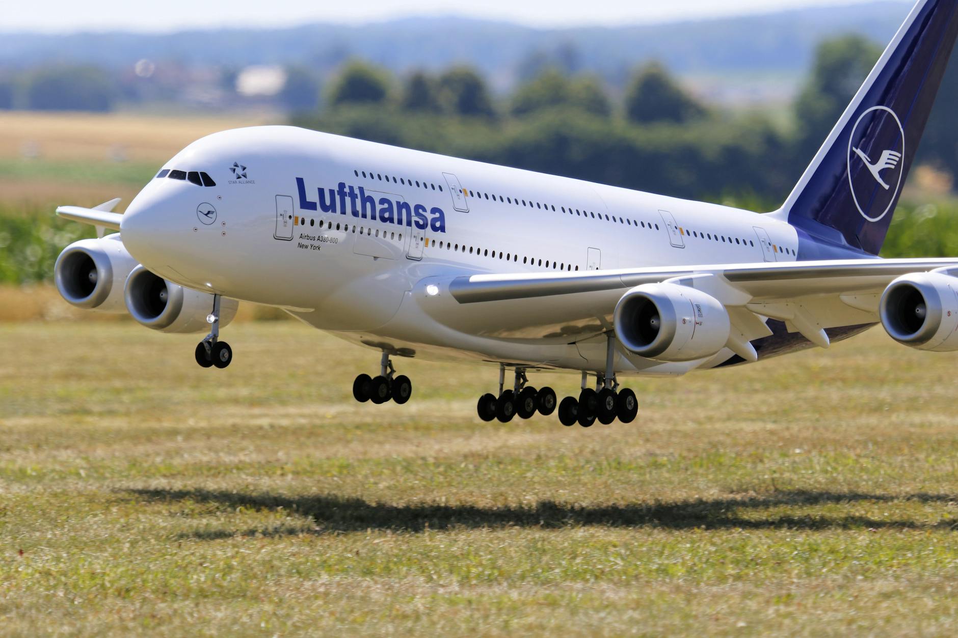 Detailansicht: Evakuierungsflug Lufthansa