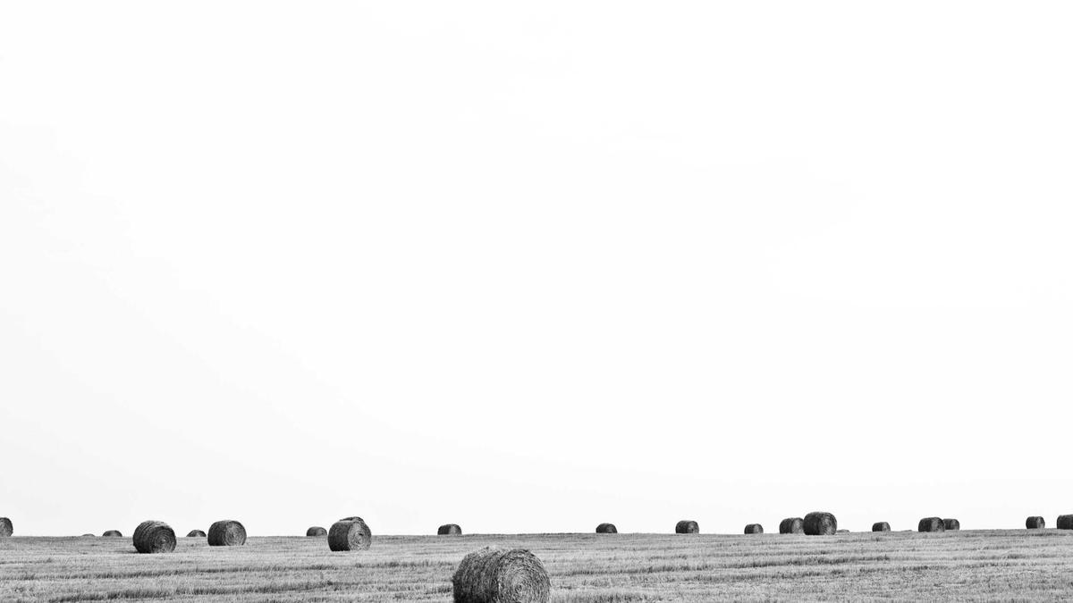 Evelyn Burdecki Illustration zu Evelyn Burdecki