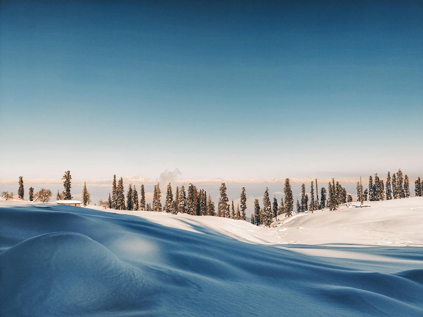 Illustration zu Facebook