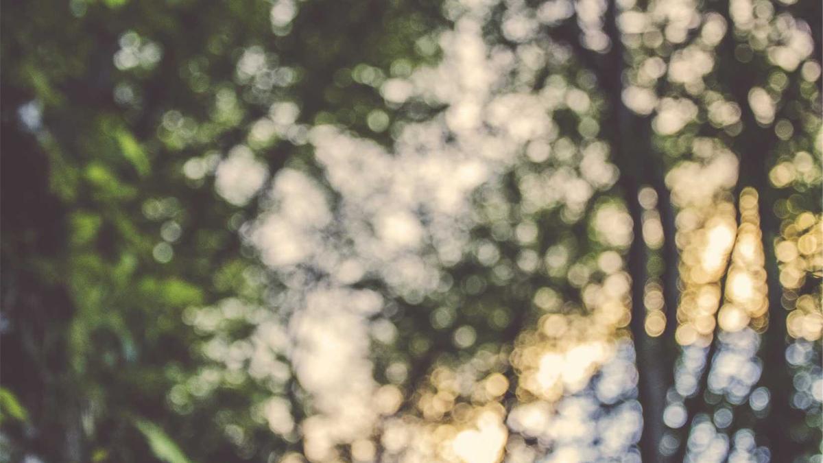 Illustration zu Fpö Ukraine Geldkoffer