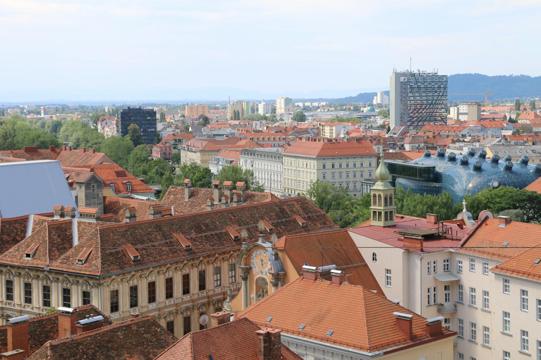 Detailansicht: Frauen Demo Graz