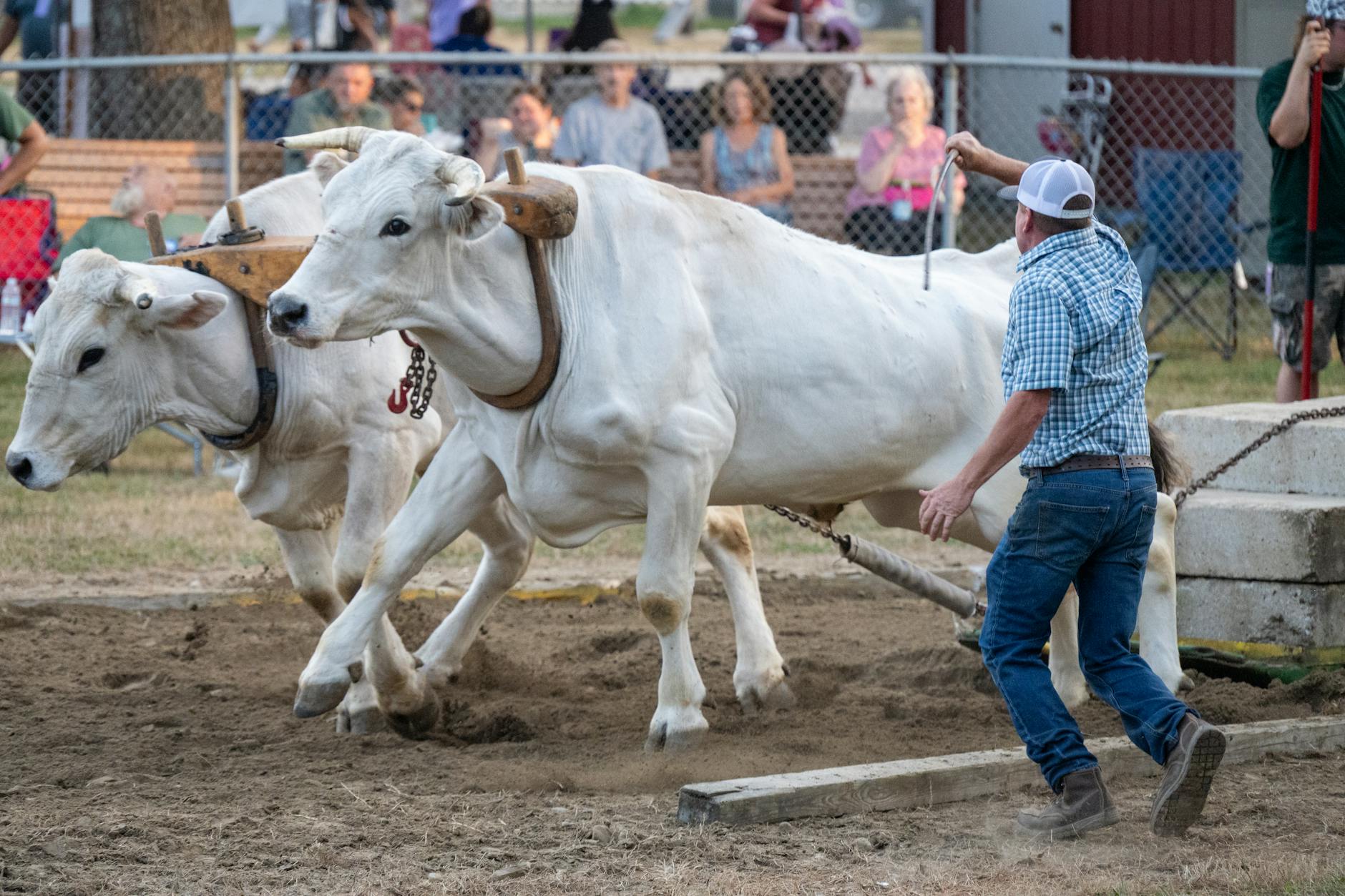 Detailansicht: Gäste Hart Aber Fair Heute