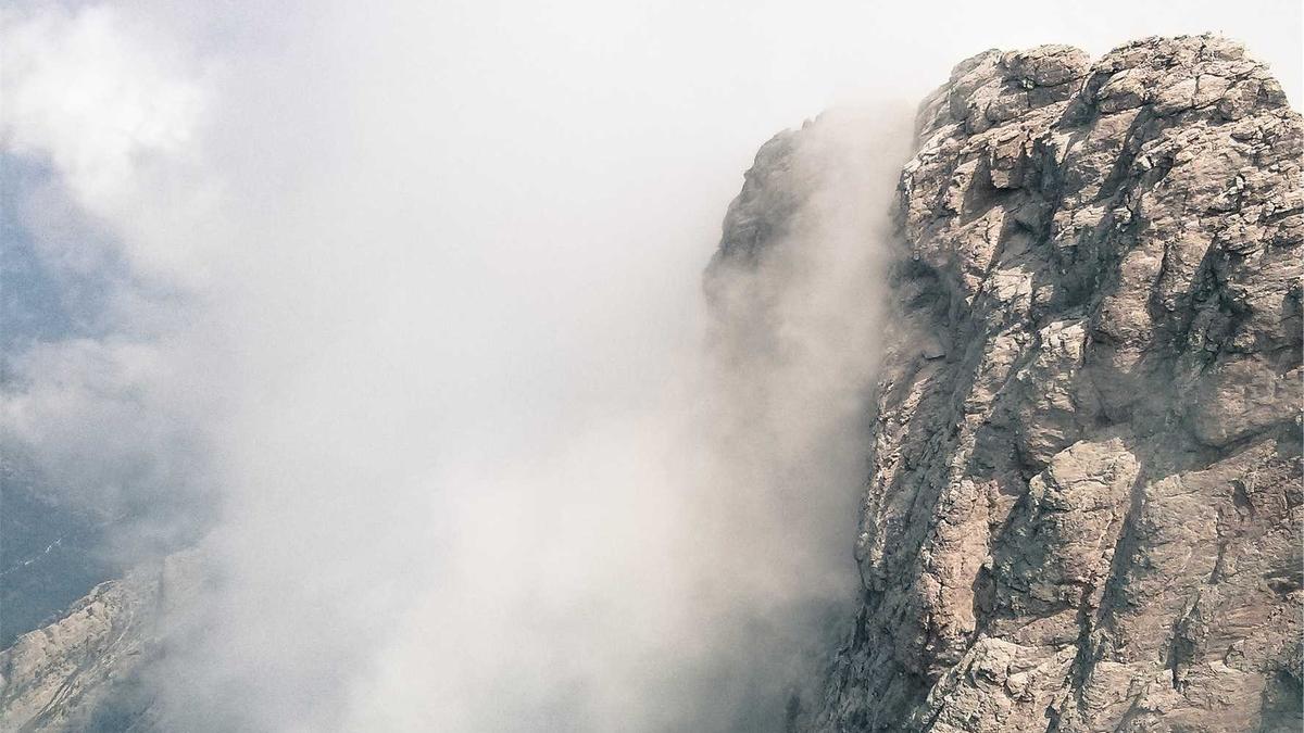 Gelatine Oder Gelantine Detailansicht: Gelatine Oder Gelantine