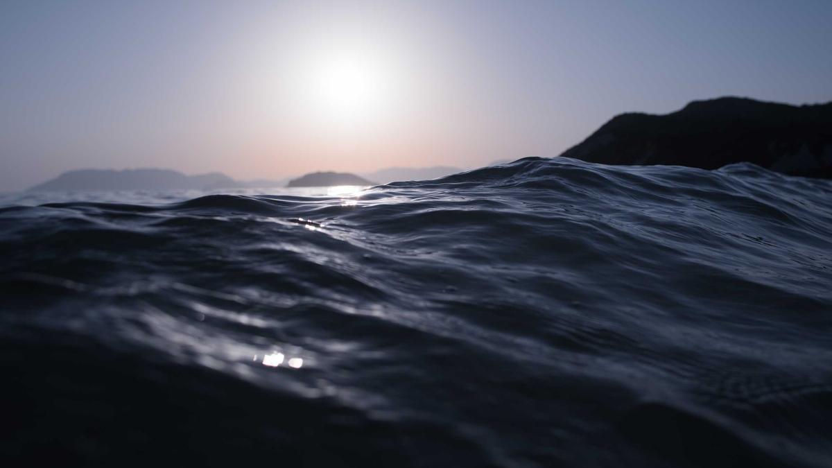 Geschirrspülmittel Detailansicht: Geschirrspülmittel