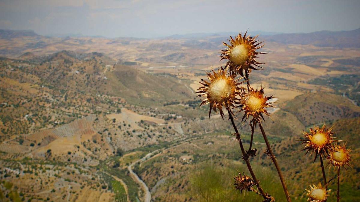 Symbolbild zum Thema Glücklicher Leben