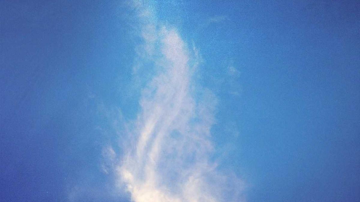 Detailansicht: Glücklicher Leben