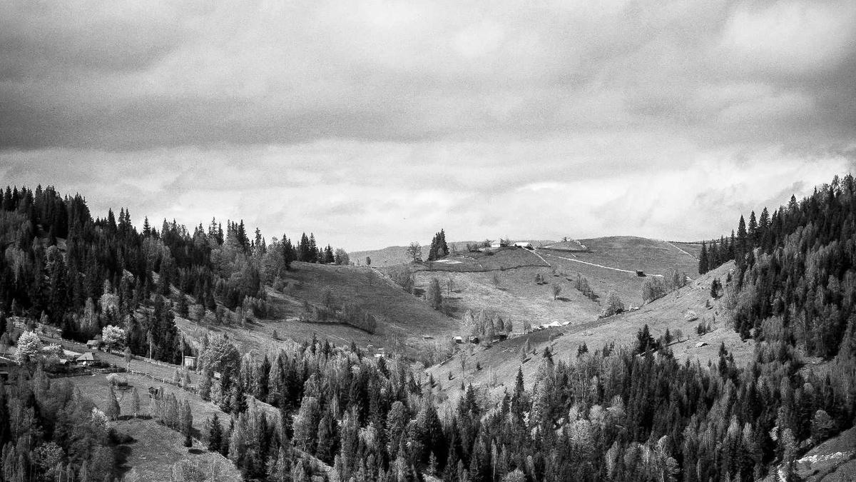 Illustration zu Handball Bundesliga