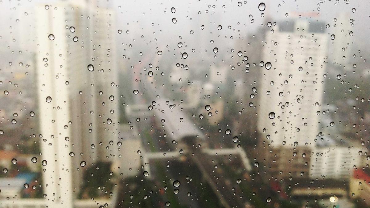 Detailansicht: Hanger Falschaussage