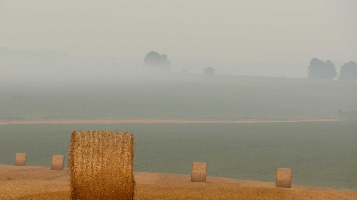 Detailansicht: Hirsch Autobahn A7