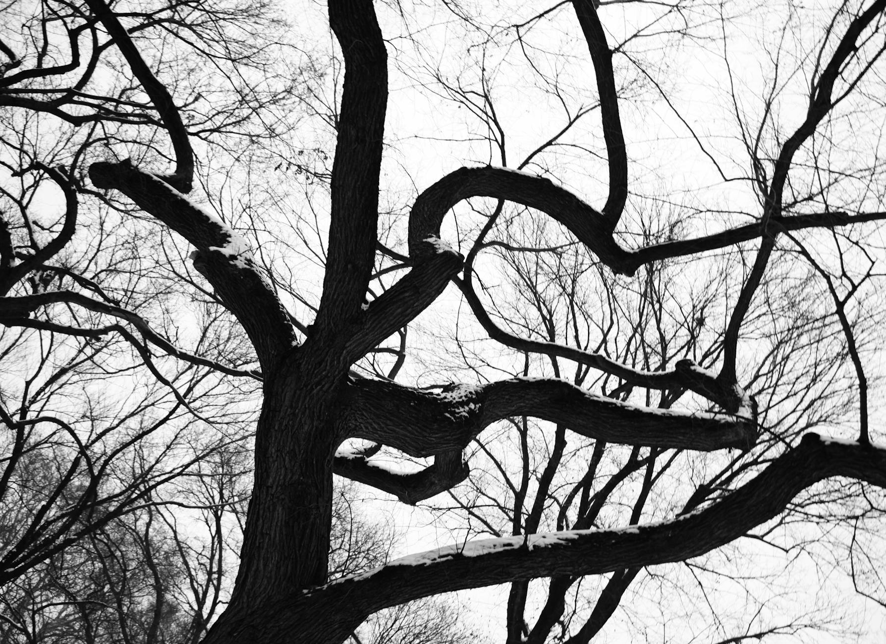 Illustration zu Hoffenheim Ii – RWE