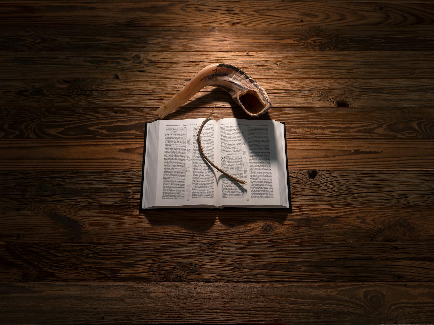 Illustration zu Horn Bad Meinberg CO2