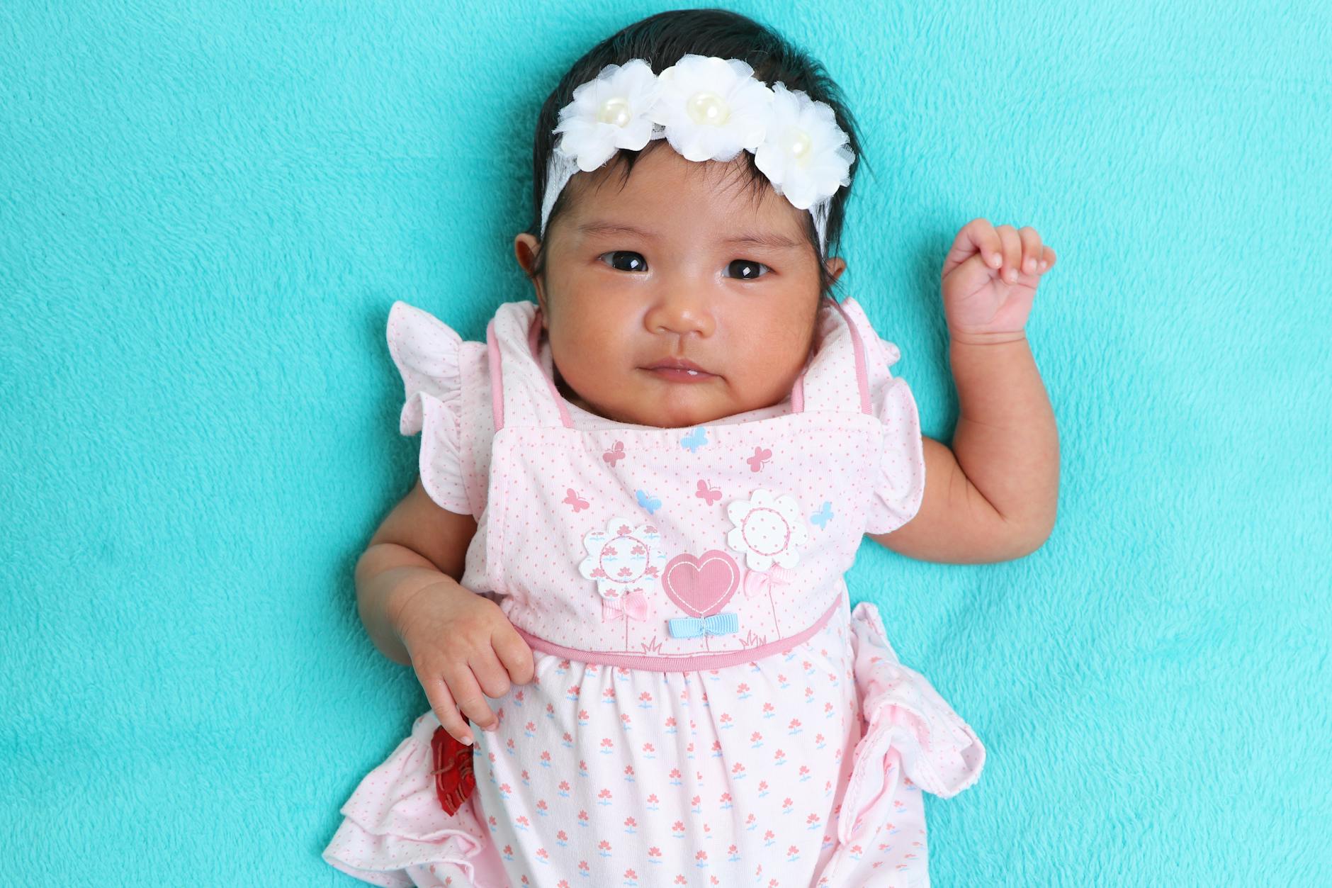 Detailansicht: Hund Tot Fahrerflucht