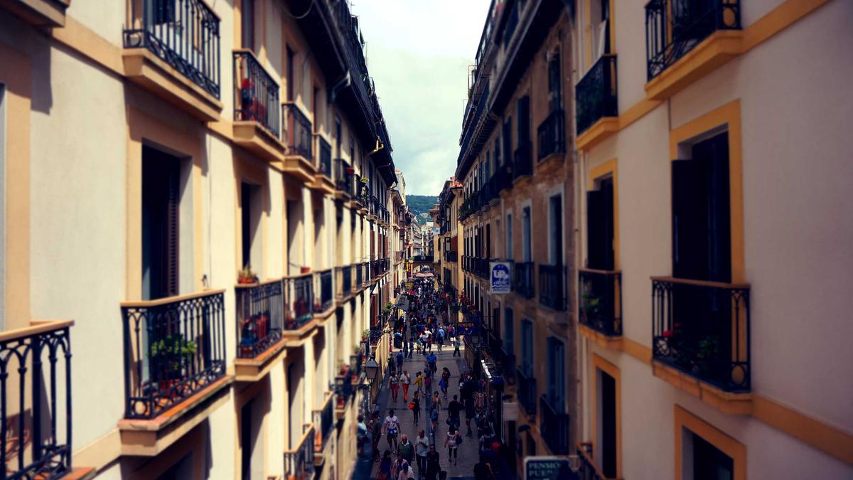 Detailansicht: Hundehaare Entfernen