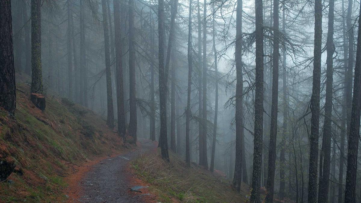 ICE Unfall Bagger Symbolbild zum Thema ICE Unfall Bagger