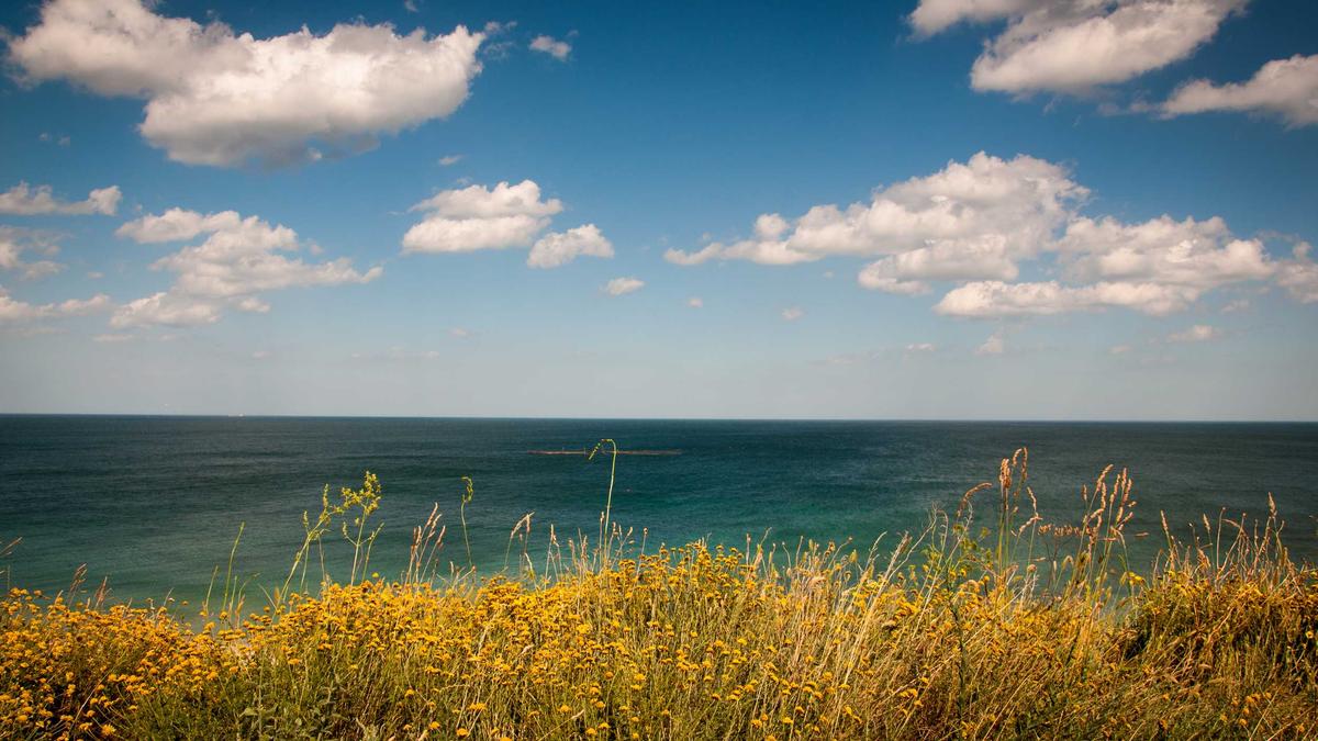 Detailansicht: Julia Römmelt