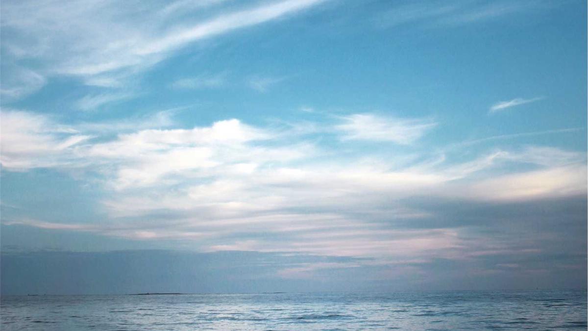 Symbolbild zum Thema Kickl Neuwahl