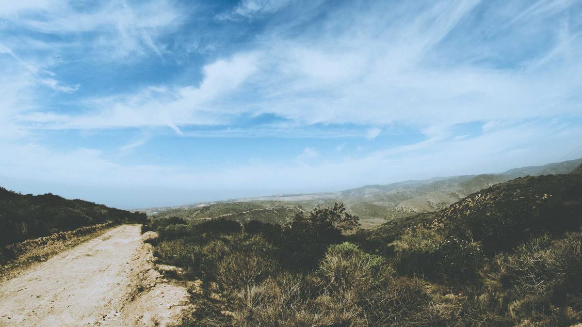 Detailansicht: Kickl Neuwahl