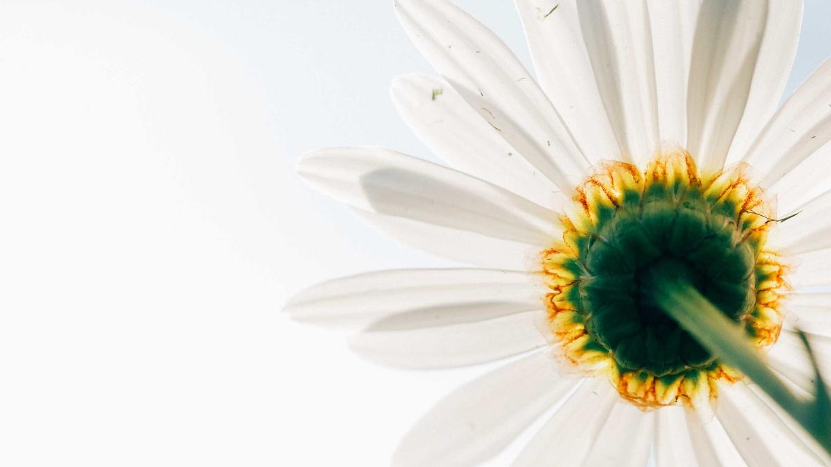 Köln – Mönchengladbach Symbolbild zum Thema Köln – Mönchengladbach