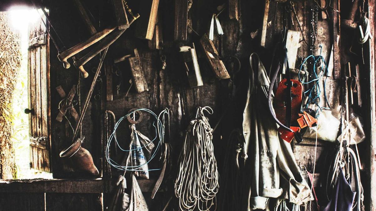 Detailansicht: KP Oli Verhaftung