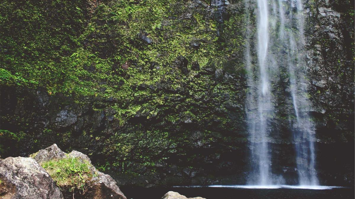 Symbolbild zum Thema Lakers – Wizards