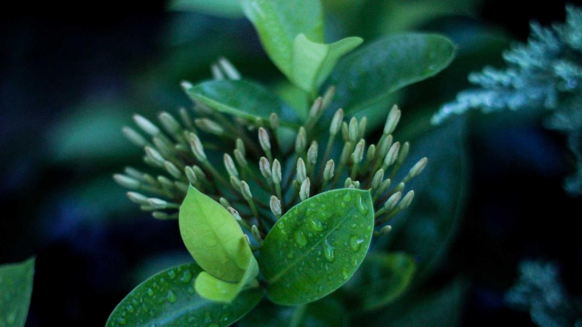 Detailansicht: Landtagswahl Baden-württemberg 2026