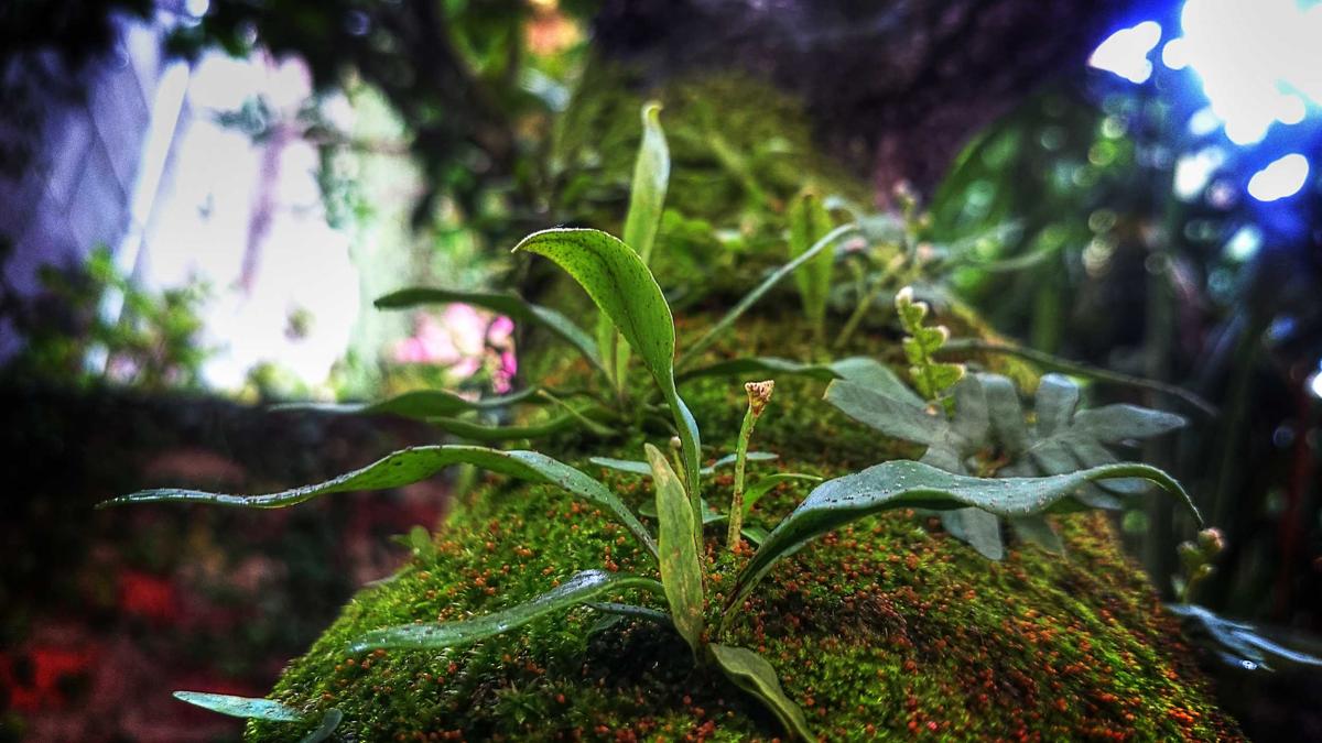 Illustration zu Liveticker Gerichtsprozess