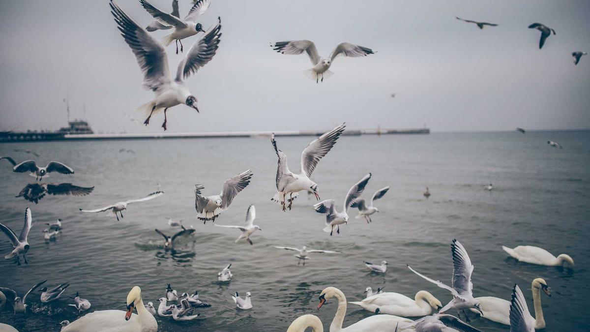 Detailansicht: Loredana Wollnys