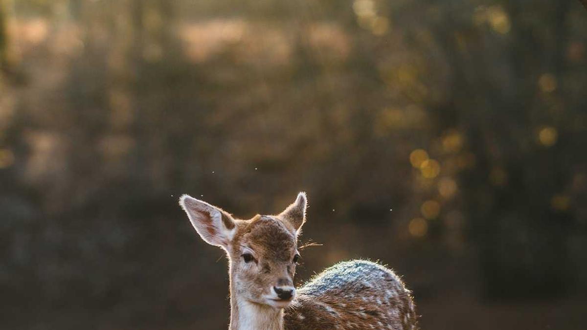 Detailansicht: Lotto24