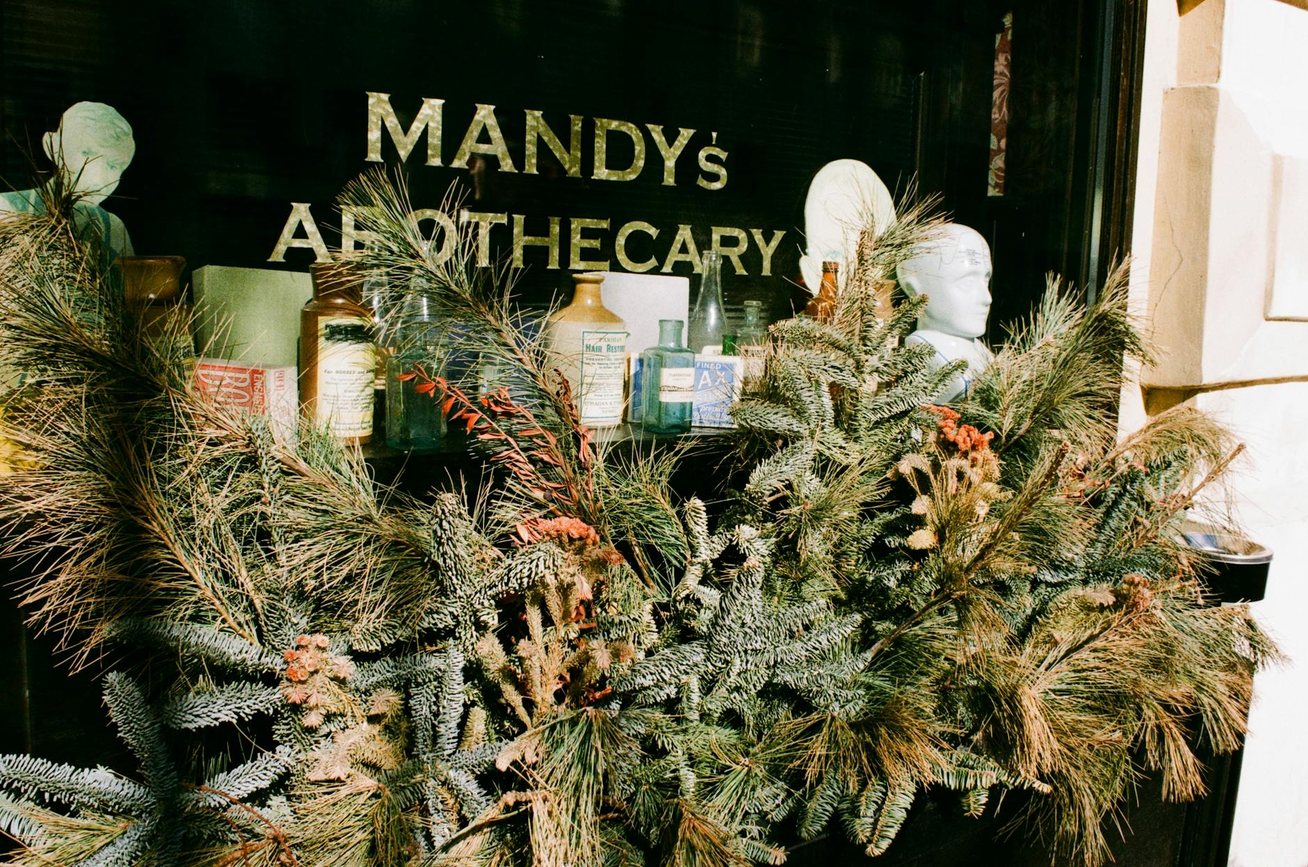 Illustration zu Mandy Mangler