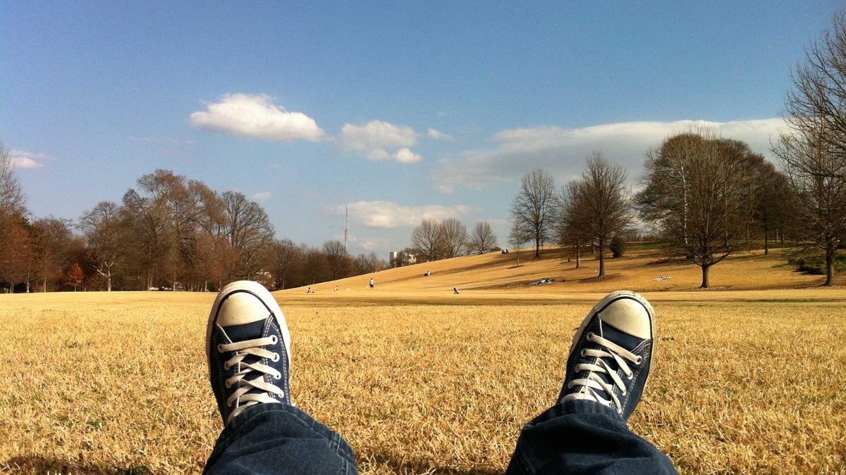 Symbolbild zum Thema Martínez Almeida Taube