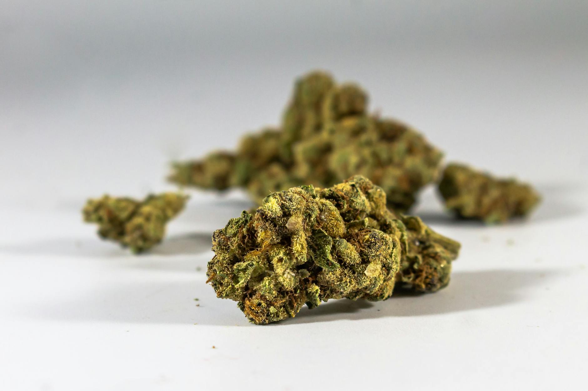 Medizinisches Cannabis Psychische Erkrankungen Detailansicht: Medizinisches Cannabis Psychische Erkrankungen