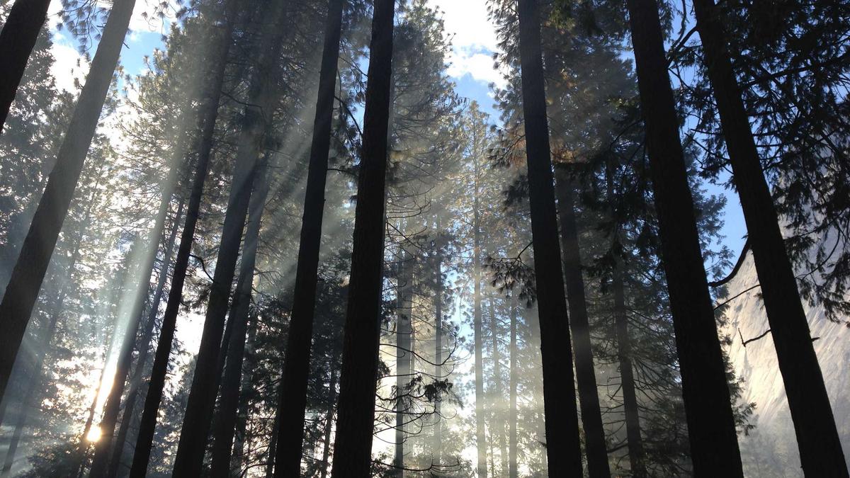 Detailansicht: Meningitis England