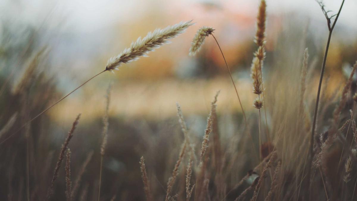Messerangriff Zug Symbolbild zum Thema Messerangriff Zug