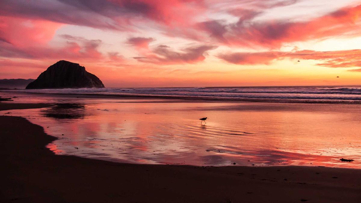 Miami Open 2026 Symbolbild zum Thema Miami Open 2026