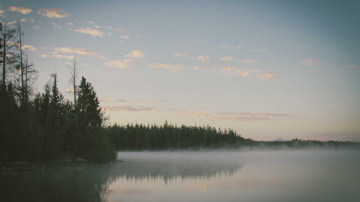 Netflix Erhöht Preise Illustration zu Netflix Erhöht Preise