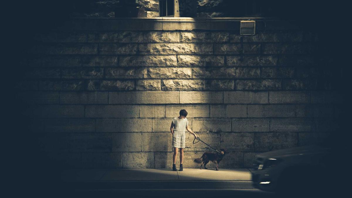 Detailansicht: NV Casino