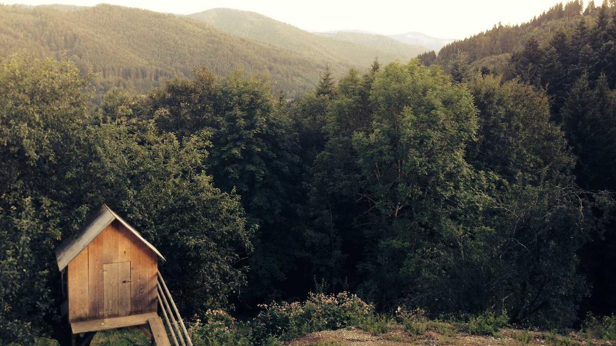 Symbolbild zum Thema Parlament Handy