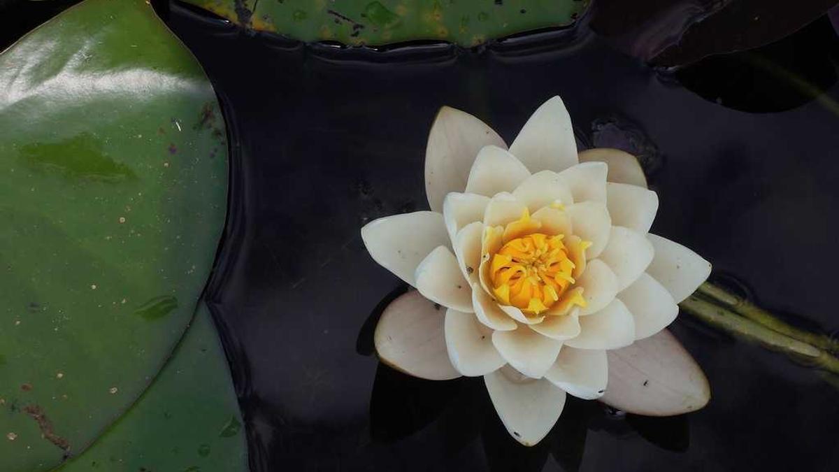 Pflegeheim Tagsätze Detailansicht: Pflegeheim Tagsätze