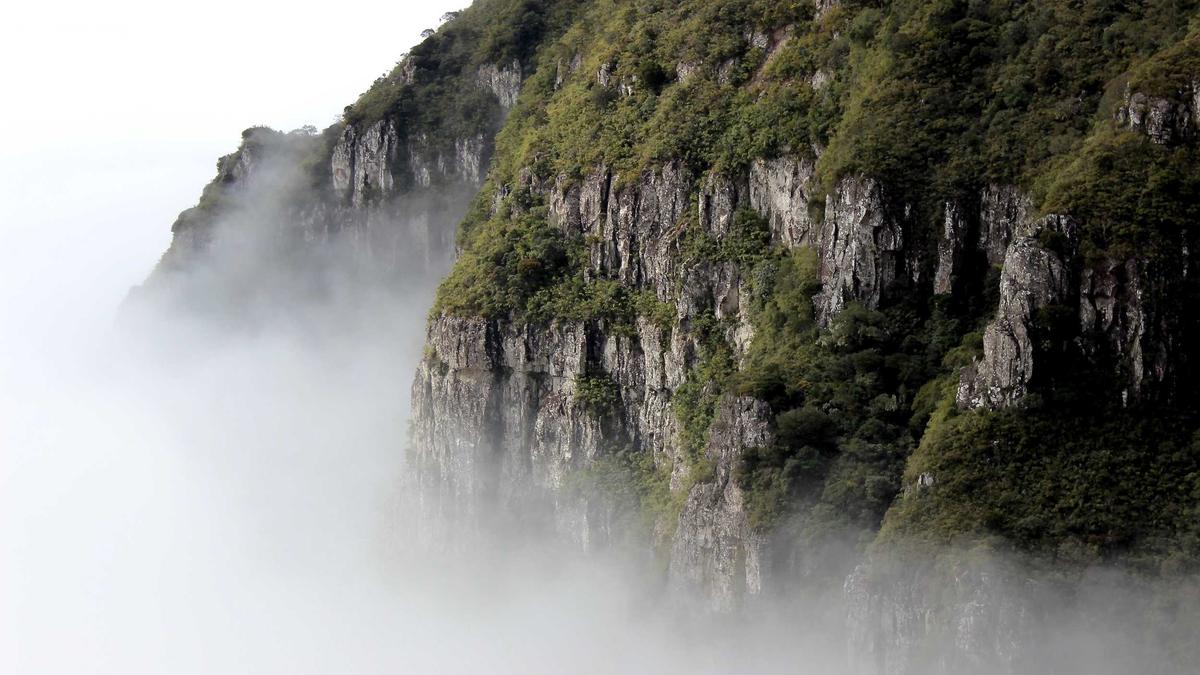 Symbolbild zum Thema Pokémon Legenden Galar