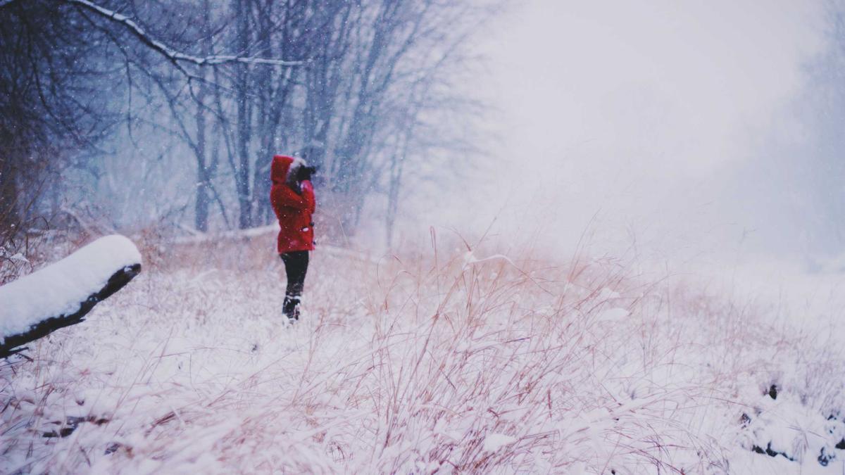 Detailansicht: Project Hail Mary