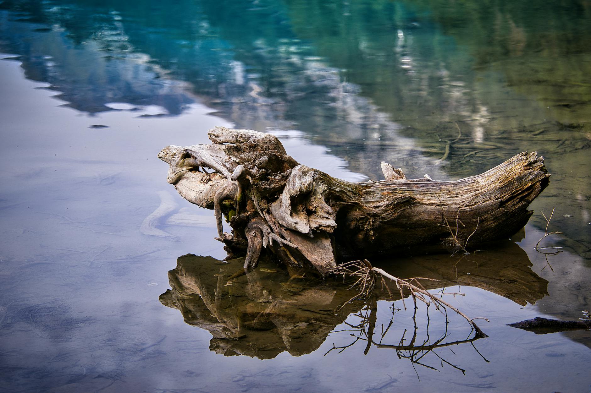 Detailansicht: Rasen Düngen Zeitpunkt