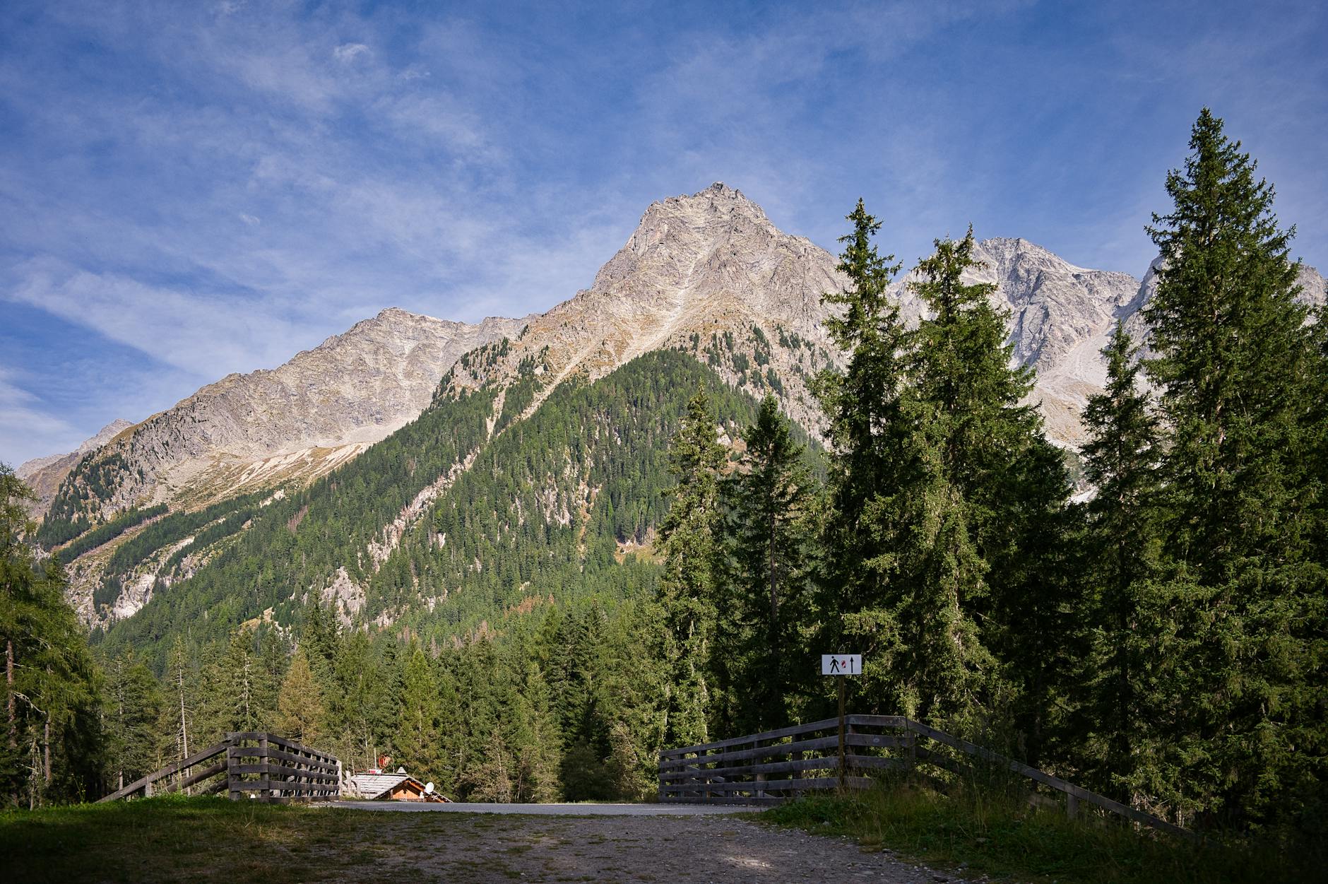 Detailansicht: Rasen Mähen Tipps